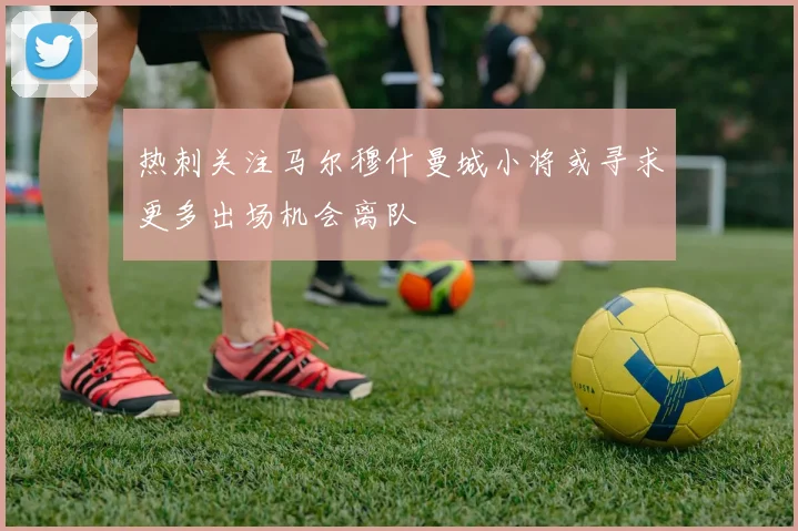 热刺关注马尔穆什曼城小将或寻求更多出场机会离队